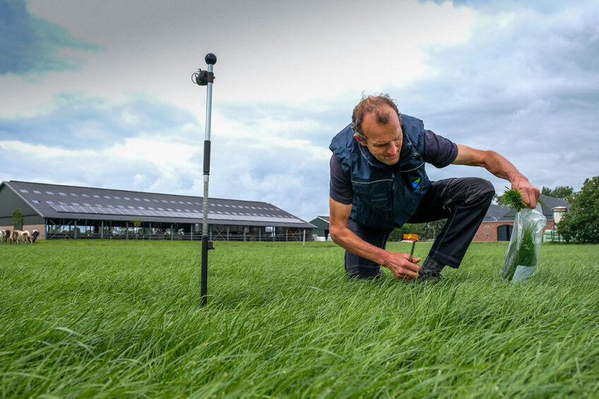 By frequently taking a fresh grass sample, Wout Huijzer can ensure that the protein level in the pellet is adjusted based on this analysis. Photo: Jan Willem van Vliet