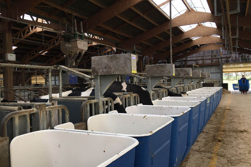 MRC boosts cow nutrition research Photo: Emmy Koeleman