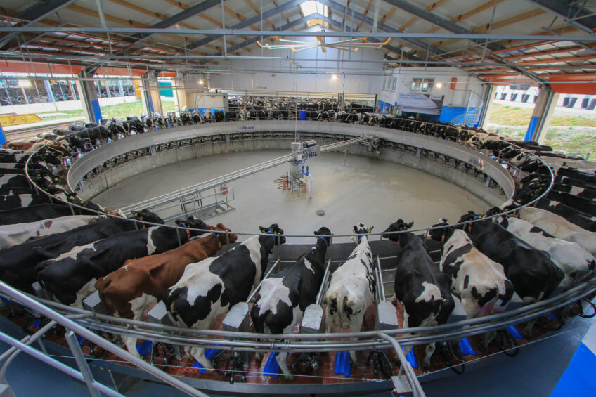 Dairy Global to host seminar on Smart Dairy Farming