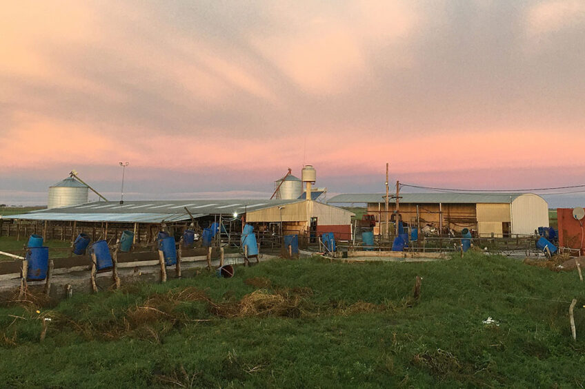 Buildings and yards are kept simple on this farm. - Photos: Chris McCullough