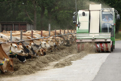 The pasturing cows are fed twice a day with a feedmixer. 3 The group at the second site has a paved feeding place next to the milking parlour of about 100 metres long and 20 metres wide.  Photos: Henk Riswick