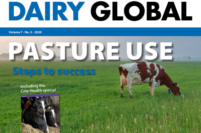Dairy Global magazine: Edition 3 is here