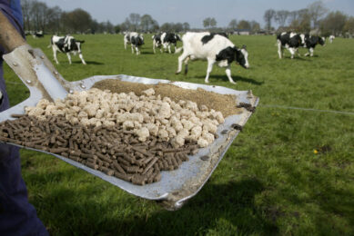 Growth in EU cattle feed production. Photo: Hans Prinsen