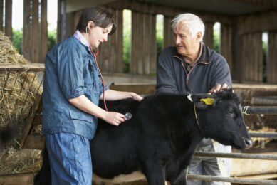 Bayer offers animal welfare grants to farmers. Photo: Dreamstime