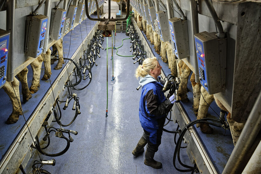 Don t be tempted to cut corners; low bactoscans and cell counts make an important contribution to the milk price achieved, so it is in your interest to avoid common mistakes by taking action," says Alison Cox, global applications specialist, Deosan. Photo: Lex Salverda