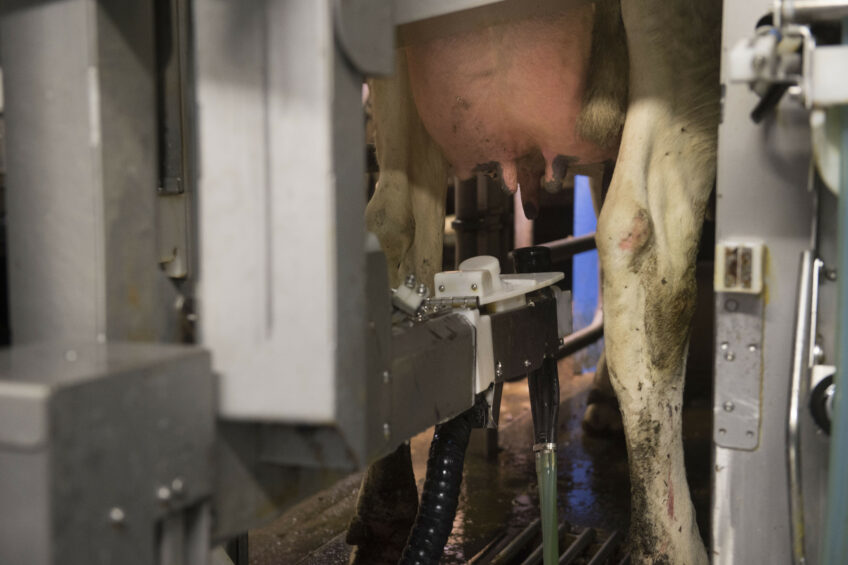Milkinig robots are becoming smarter and cheaper. Photo: Mark pasveer