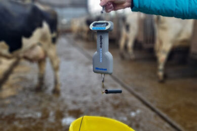 Most concentrate feeding systems can be checked using a simple weigh balance, a plastic bucket and a small investment of time. Photo: Chris McCullough