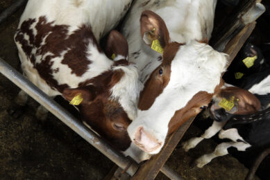 Facial recognition of dairy cows: ONE: The Alltech Ideas Conference
