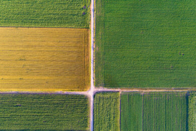 Global agriculture at a critical crossroads. Photo: Budimir Jevtic