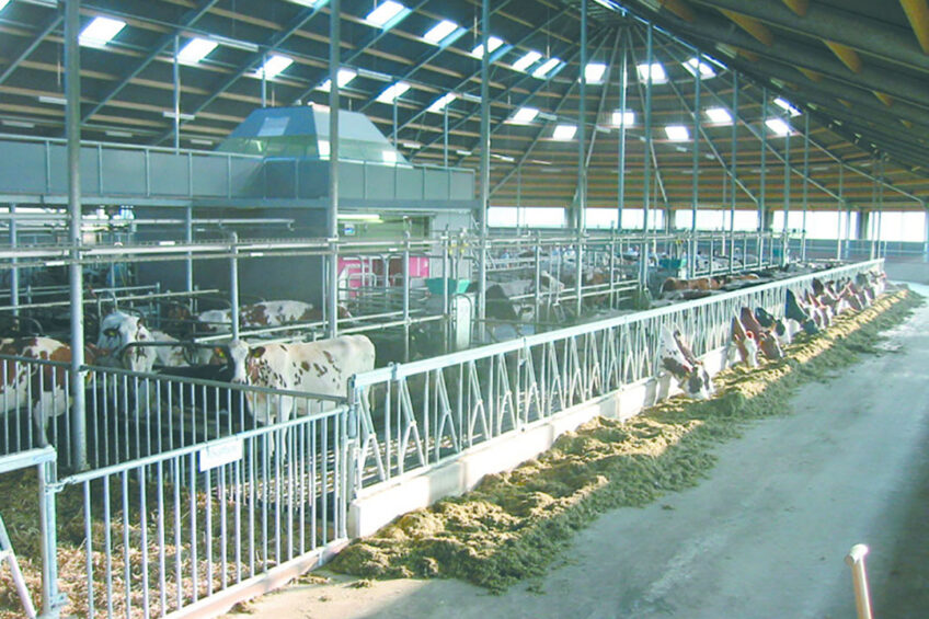 Sufficient lighting as well as a good view of the whole shed are necessary to observe all the animals, here the central stucture is causing an obstruction.Photo: Roodbont