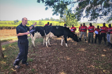 Andrew Pine training Kenyan customers. Photo: Premier Nutrition