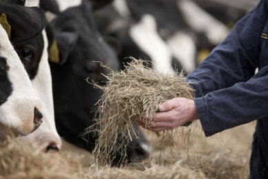 "Supporting and enabling farmers through the Net Zero Initiative has the potential to transform the dairy industry," said Jim Wells, chief supply chain officer for Nestlé USA. Photo: Mark Pasveer