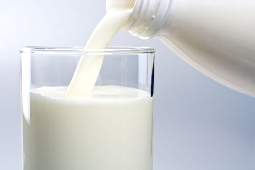 As of February 1, Alexandre Family Farm milk will become the first 100% A2/A2 regenerative organic milk to be distributed nationwide in the US. Photo: Shutterstock