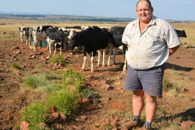 Processing own milk in South Africa. Photo: Chris McCullough