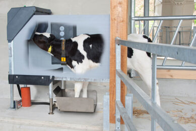 Holm & Laue s HygieneStation mixes and prepares a fresh milk diet, at the right temperature, for each individual calf, and automatically cleans all tubes and hoses. Photo: Holm & Laue