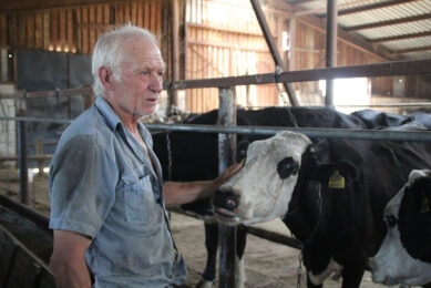 Backyard farms frequently encounter mastitis. Photo: Vladimir Kubansky