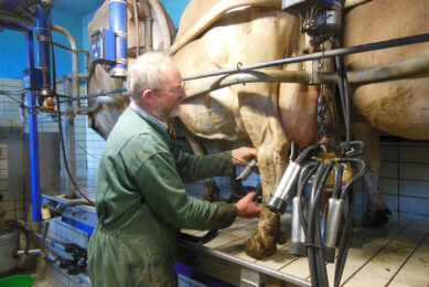 Philippe Abrahamse at milking. Photo: Philippe Caldier