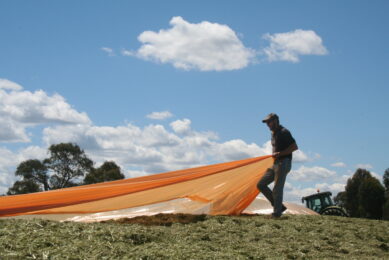 Practical tips for optimal silage quality. Photo: Lallemand