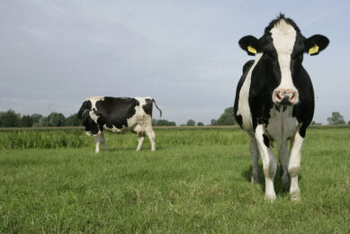 Digital Dairy Value-Chain will help to deliver more jobs in the sector, alongside stimulating research and innovation to support our farmers to develop their businesses. Importantly, it will also help to decarbonise the industry,  says Professor Wayne Powell, Principal and Chief Executive of SRUC. Photo: Michel Zoeter