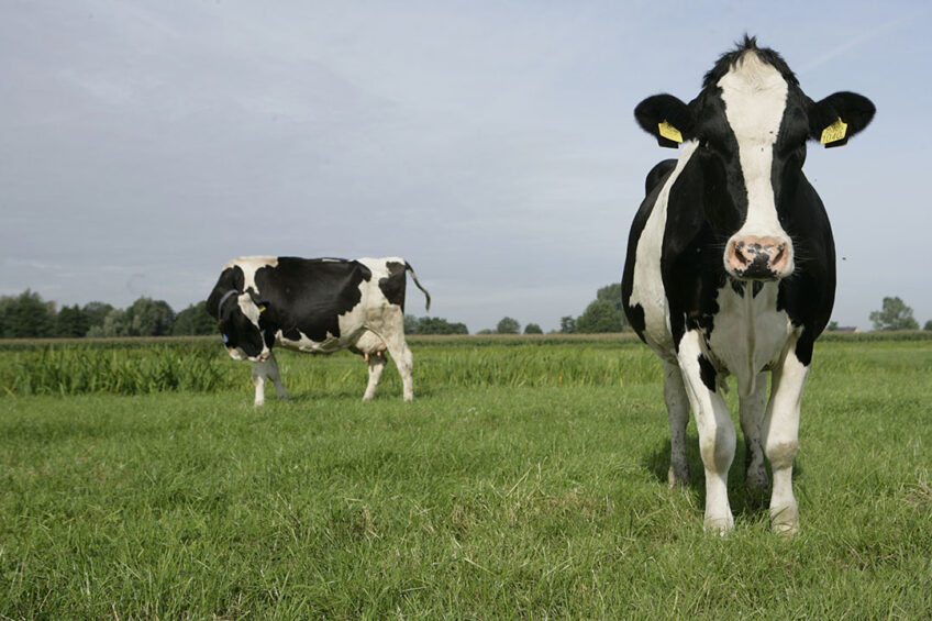 Digital Dairy Value-Chain will help to deliver more jobs in the sector, alongside stimulating research and innovation to support our farmers to develop their businesses. Importantly, it will also help to decarbonise the industry,  says Professor Wayne Powell, Principal and Chief Executive of SRUC. Photo: Michel Zoeter