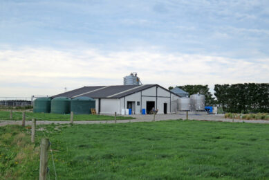 NZ farm maximising milk production. Photo: Robert Bodde