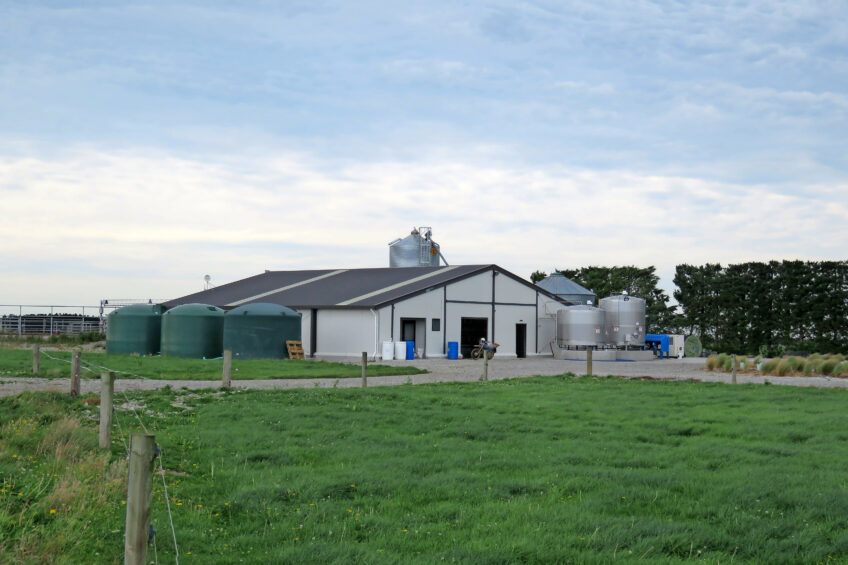 NZ farm maximising milk production. Photo: Robert Bodde