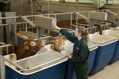 Photo Report: New calf and beef research facility