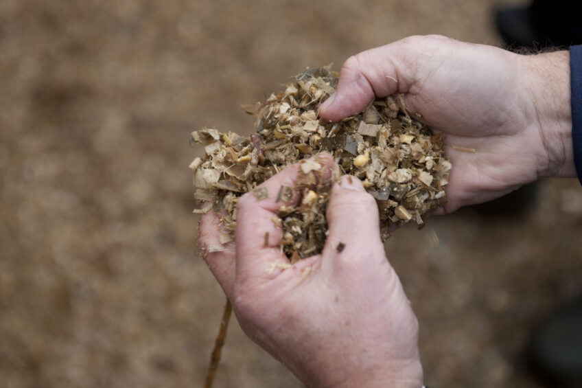 Mycotoxin risks for corn silage