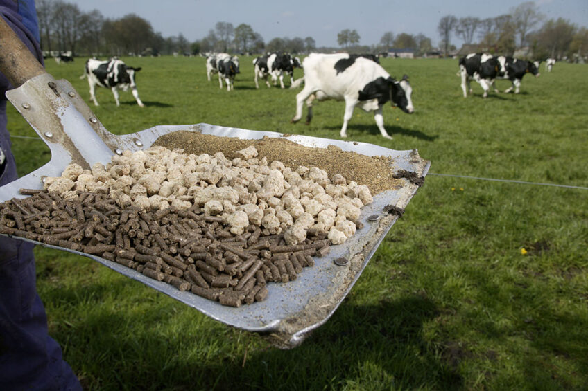 World produces more cattle feed in 2018. Photo: Hans Prinsen