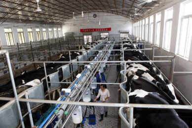 China is not a cheap place to produce milk