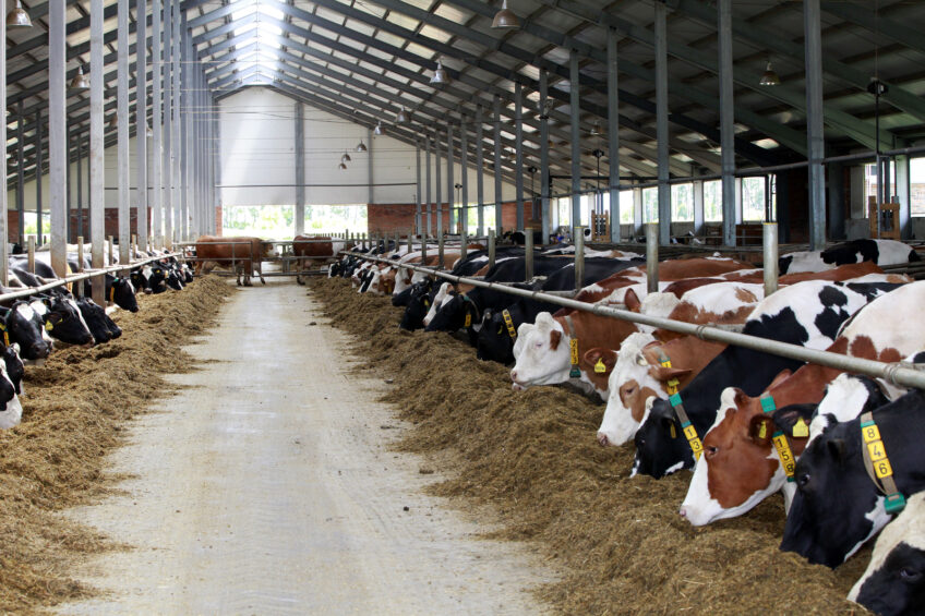 Growth Ambition: To Build-Up Herd to 25,000