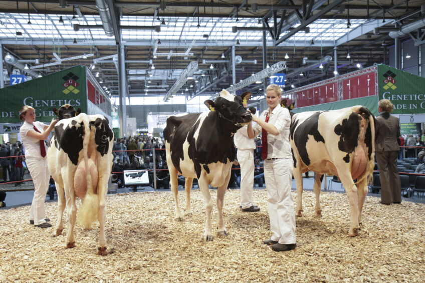 Sneak peak at Eurotier’s dairy innovations