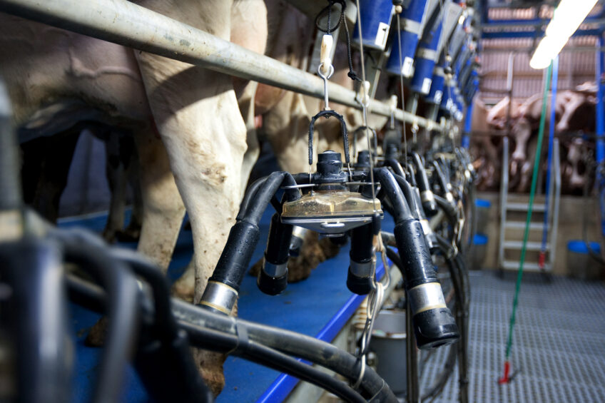 Russian dairy sector wants action against cheap Belarusian imports