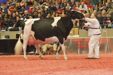 Photo Report: Canadian grabs awards in Madison