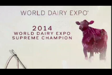 World Dairy Expo: Jersey Venus named Supreme Champion