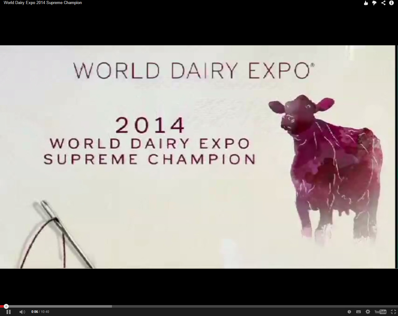 World Dairy Expo Jersey Venus named Supreme Champion Dairy Global