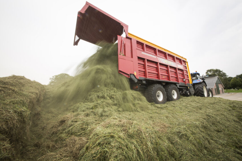 Central silage for 11 Dutch dairy farms