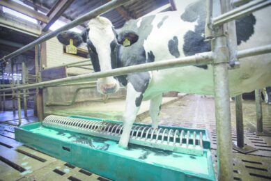 Labour-friendly hoof care for dairy cattle
