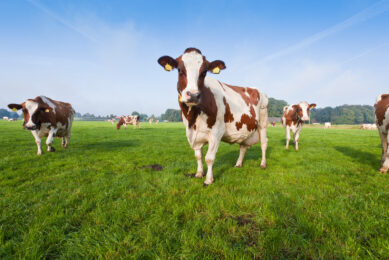 EDA: “Dairy sector can be confident for the future”