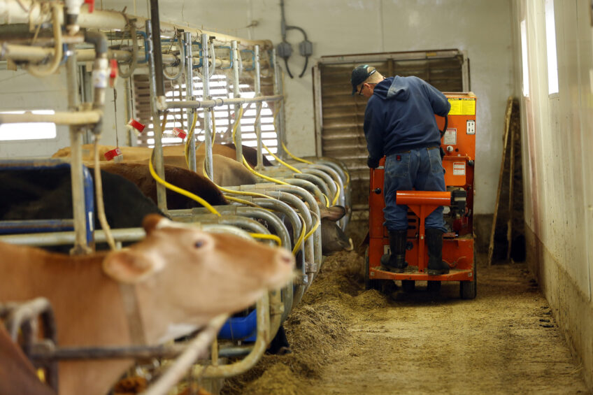 High tech in a low cost barn