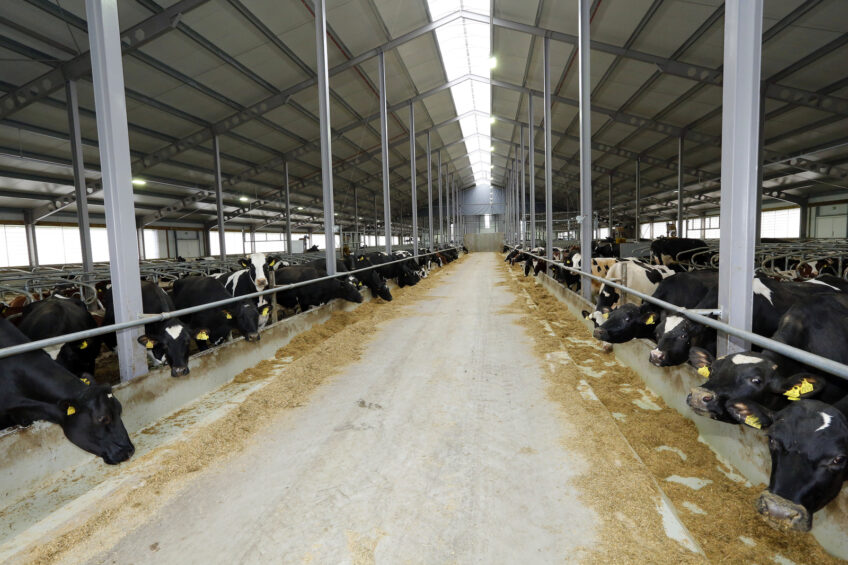 Finland: Dairy farms cut labour costs with merger
