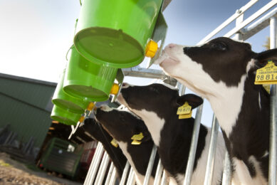 The main drivers for dairy profitability