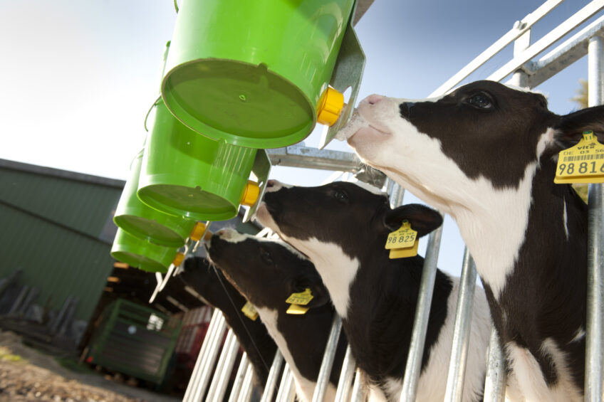 The main drivers for dairy profitability