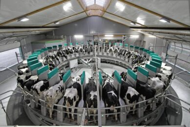 World first: GEA Technology launches automatic rotary milking