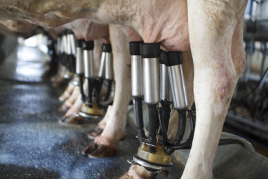 Revised forecasts reveal tough global milk market