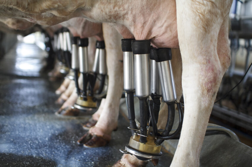 Revised forecasts reveal tough global milk market