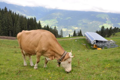 Alpine farmers milking a good living