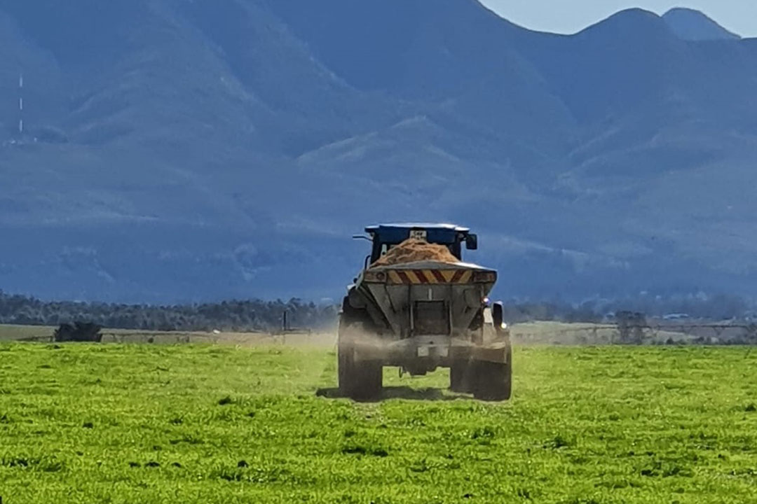 About 4,000 tonnes of chicken manure is used as organic fertiliser, replacing some chemical fertiliser with a high carbon footprint. Photo: Lizl Kuyler