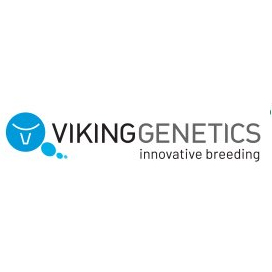 VikingGenetics