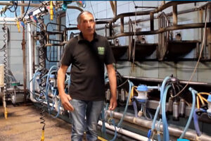 David Cotterell, farm manager, said monitoring the mobility of the herd was very important, as early onset of lameness affected the animals’ appetite and milk production as well as causing discomfort. Photo: Dorset Council